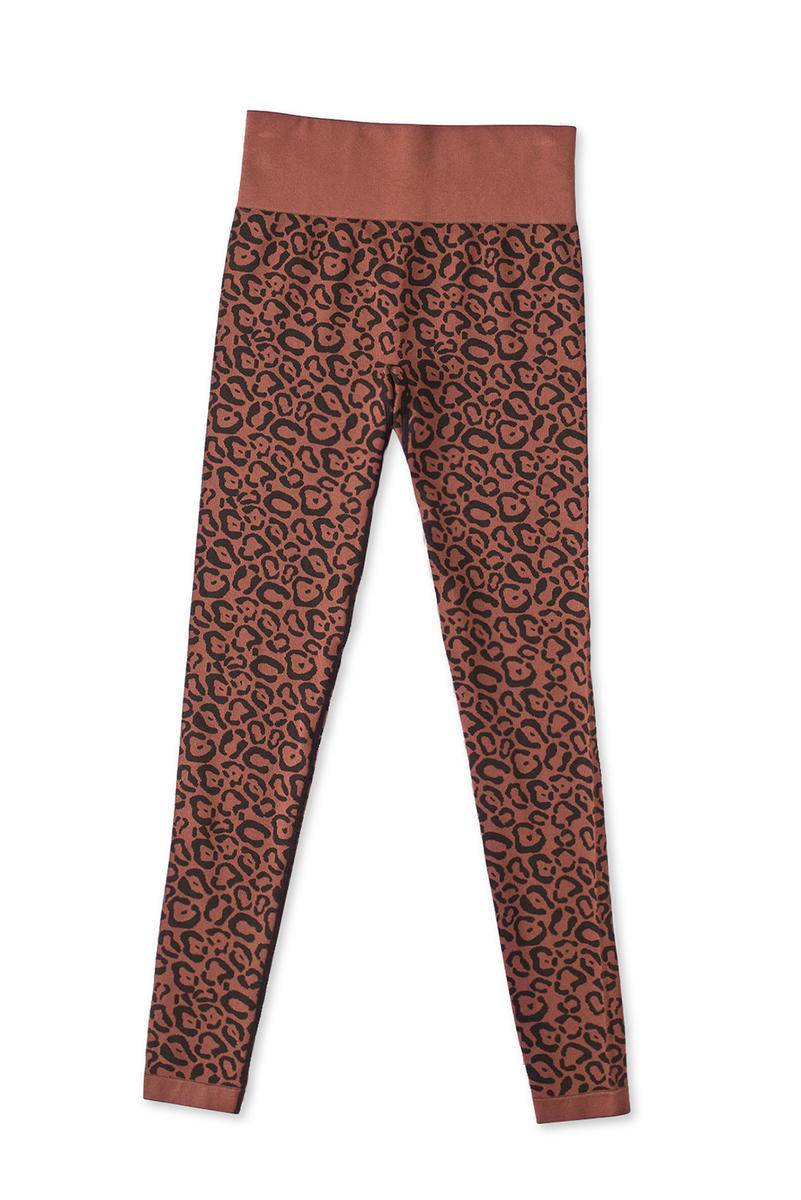 Leopard Print Wide Waistband Skinny Leggings