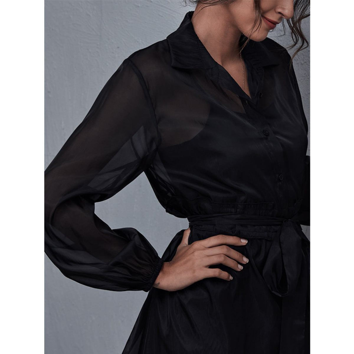 Black Collared Neck Lantern Sleeve Single-Breasted Tie Waist Sheer Mini Dress